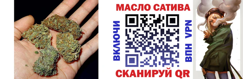 MEGA как войти  Борзя  Дистиллят ТГК THC oil  где продают наркотики 