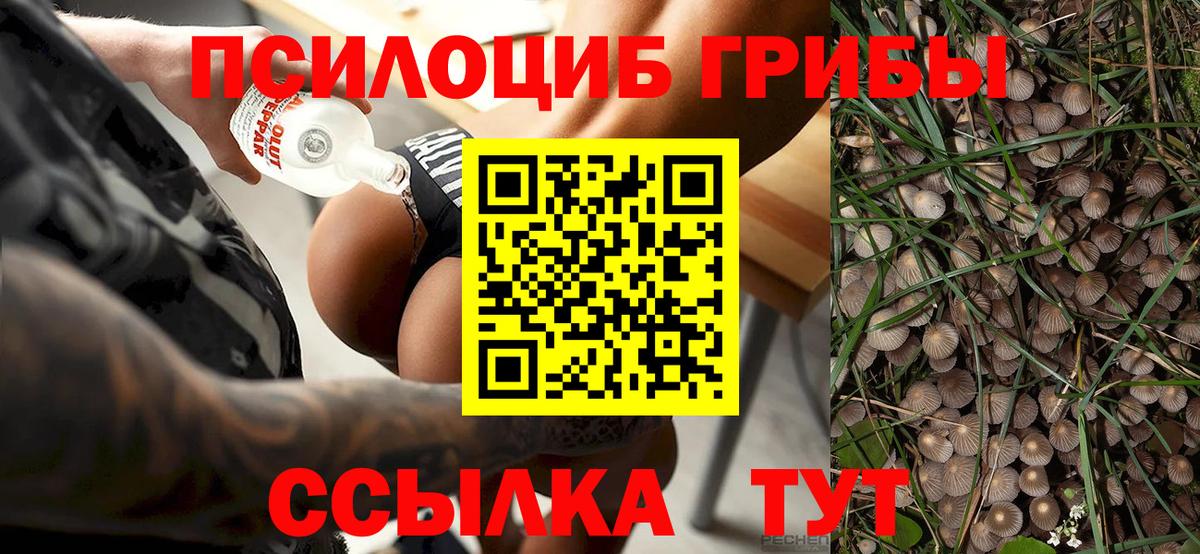 Псилоцибиновые грибы мухоморы  Вход с VPN  Борзя 