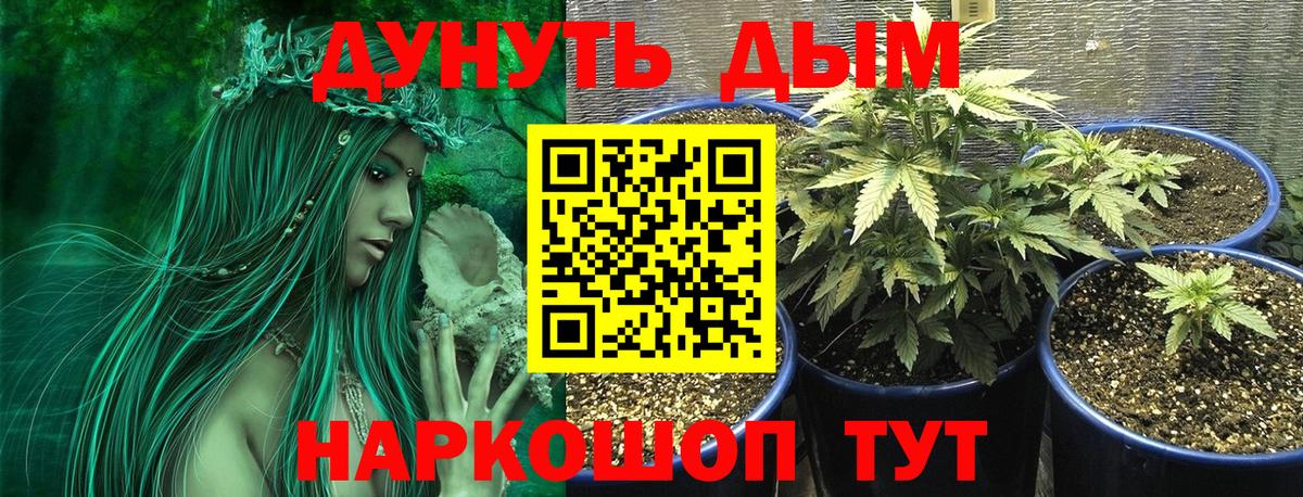 Канабис Amnesia  Канабис индика  Вход с VPN  Борзя 